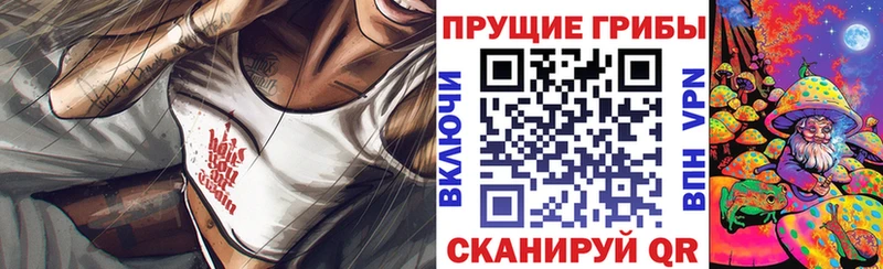 OMG как войти  Асбест  Галлюциногенные грибы MAGIC MUSHROOMS  где купить наркоту 