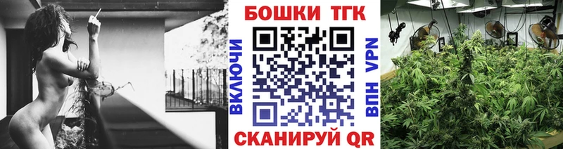 Канабис ГИДРОПОН  купить   Асбест 